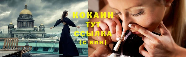дживик Арсеньев