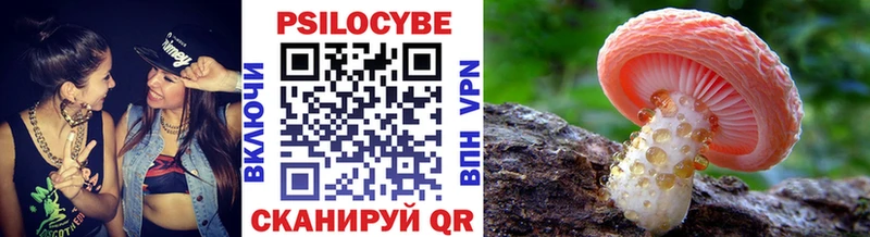 Псилоцибиновые грибы GOLDEN TEACHER  купить наркоту  Артёмовский 